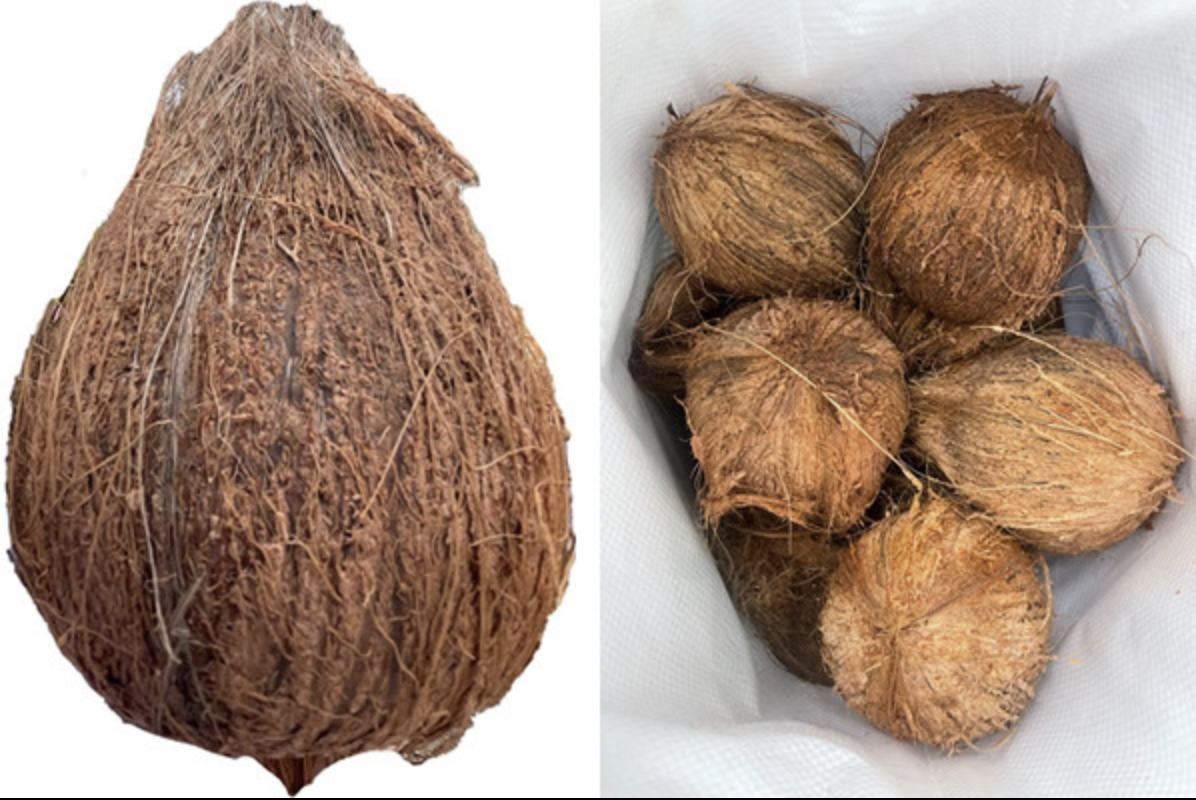 Jepretan Layar 2025-11-14 pukul 10.11.40